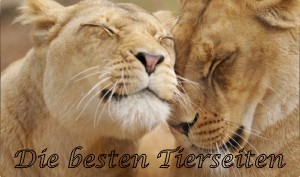 Die besten Tierseiten